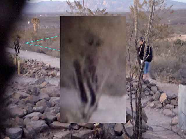 Daytime photo of Boothill Graveyard with a paranormal element. The rocky desert landscape is visible with ocotillo cacti and distant mountains. A visitor in dark clothing stands to the right. In the center, a magnified inset shows a shadowy, translucent figure resembling a person walking among the graves, suggesting a ghostly presence. Blue lines point to the magnified area.