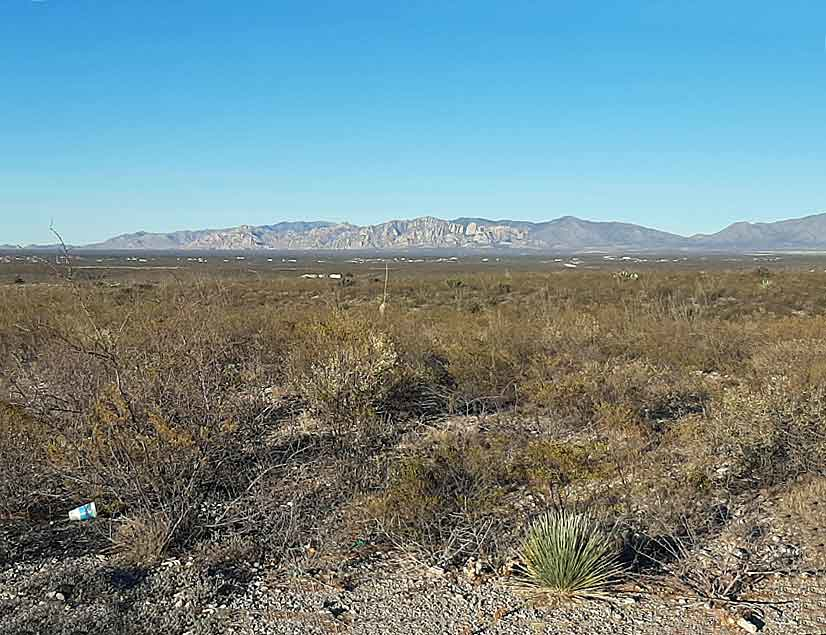 Arid desert landscape with sparse vegetation in foreground and distant mountains under clear blue sky