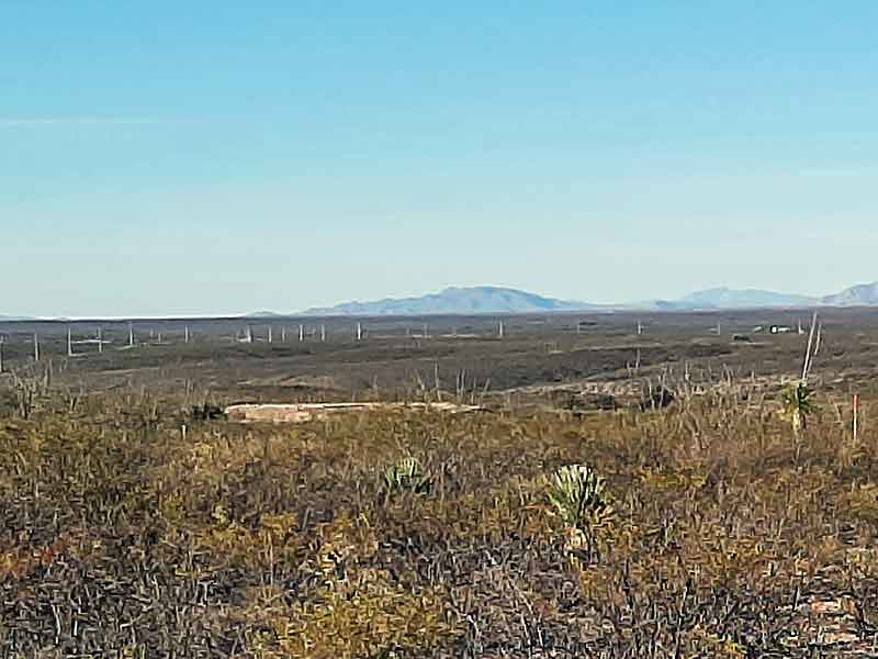 Arid desert landscape with sparse vegetation in foreground and distant mountains under clear blue sky