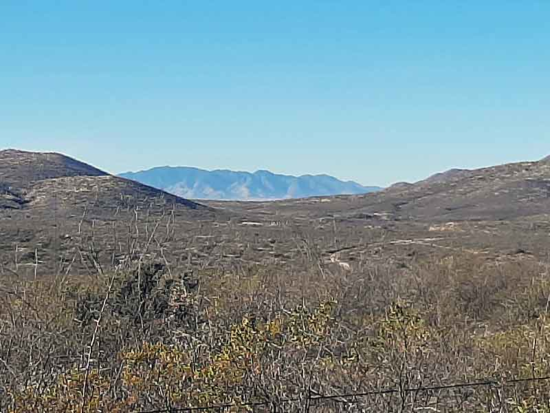 Arid desert landscape with sparse vegetation in foreground and distant mountains under clear blue sky