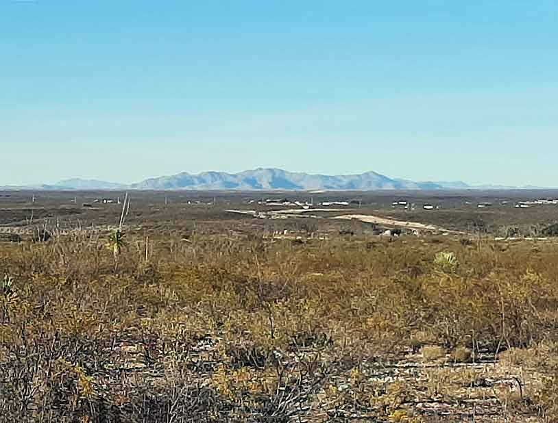 Arid desert landscape with sparse vegetation in foreground and distant mountains under clear blue sky