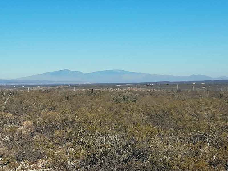 Arid desert landscape with sparse vegetation in foreground and distant mountains under clear blue sky