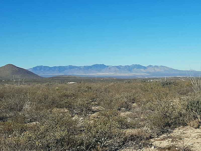 Arid desert landscape with sparse vegetation in foreground and distant mountains under clear blue sky